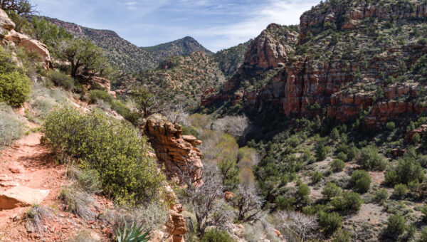 Bell Trail