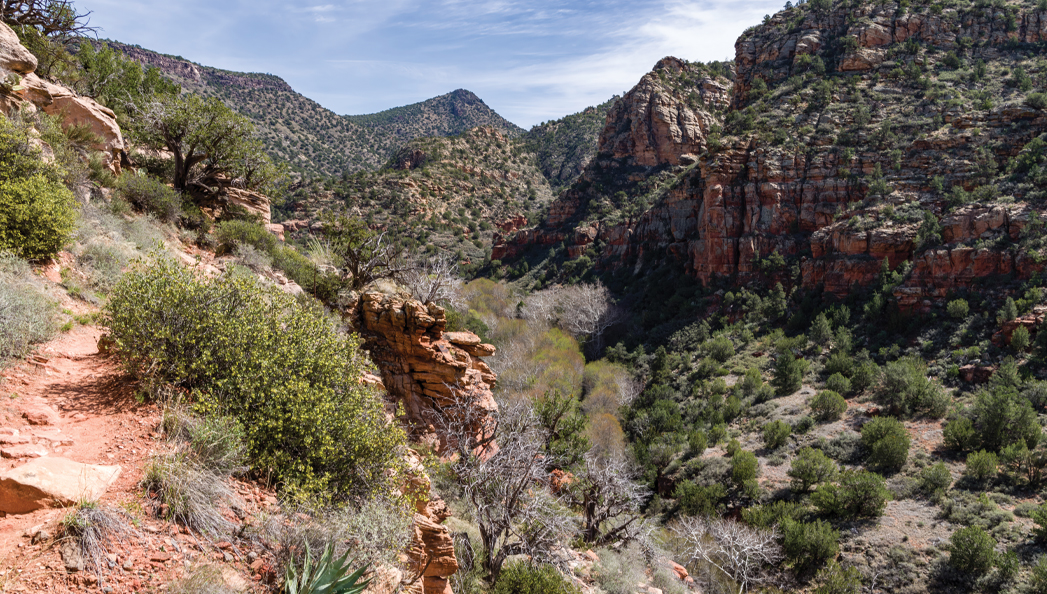 Bell Trail