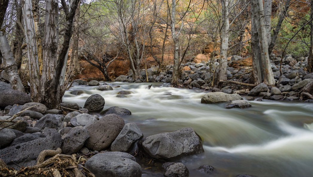 Bell Trail