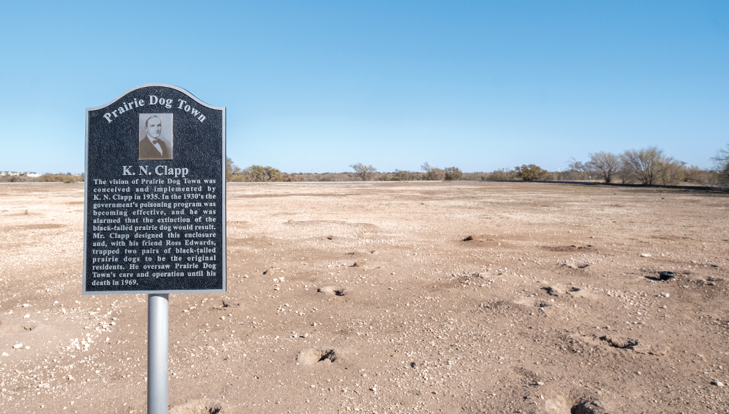 Let's Go: Lively Lubbock