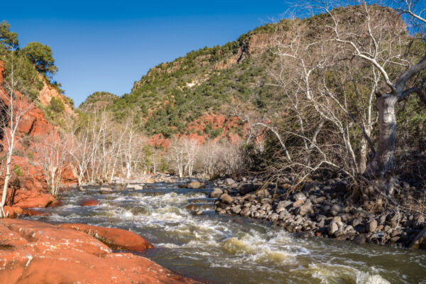 Woods Canyon Trail