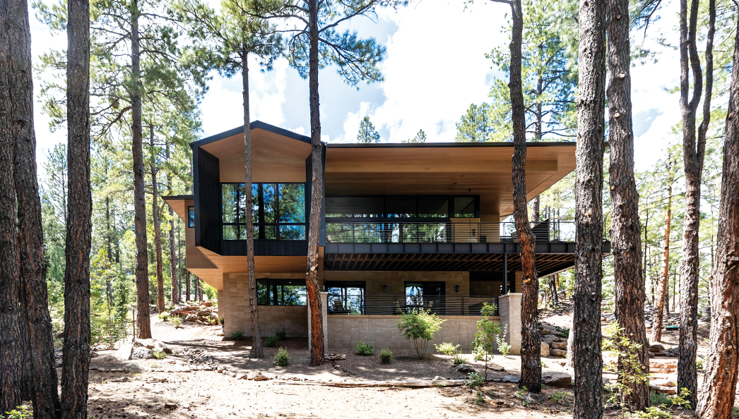 Coming Home: A Top, Luxe Treehouse