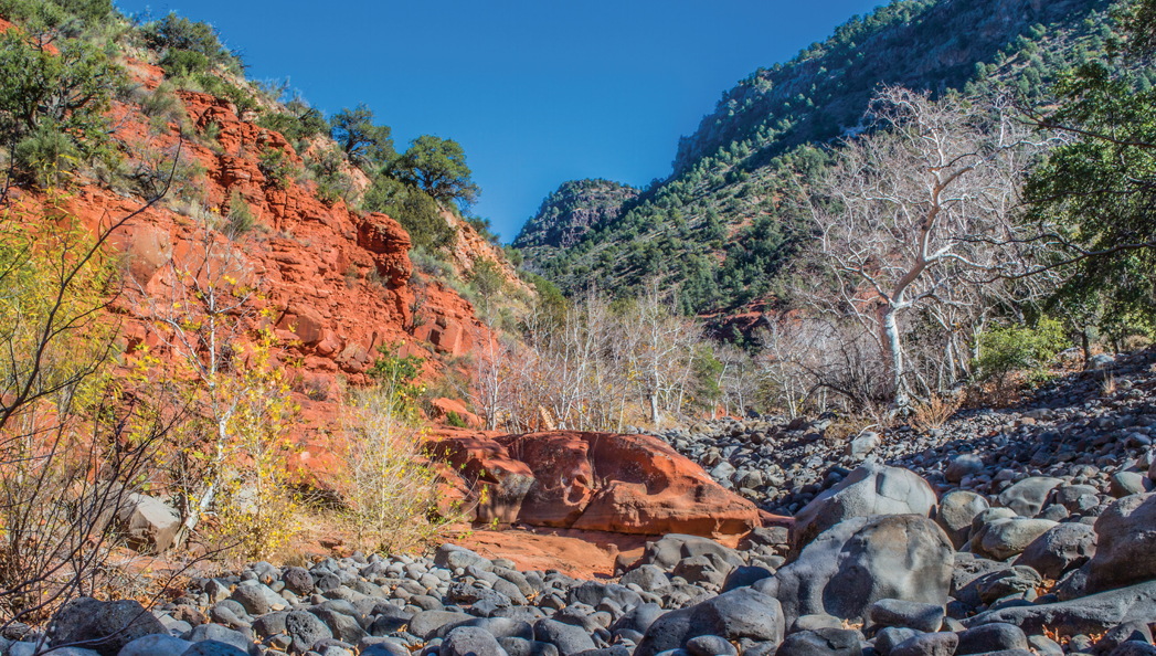 Woods Canyon Trail