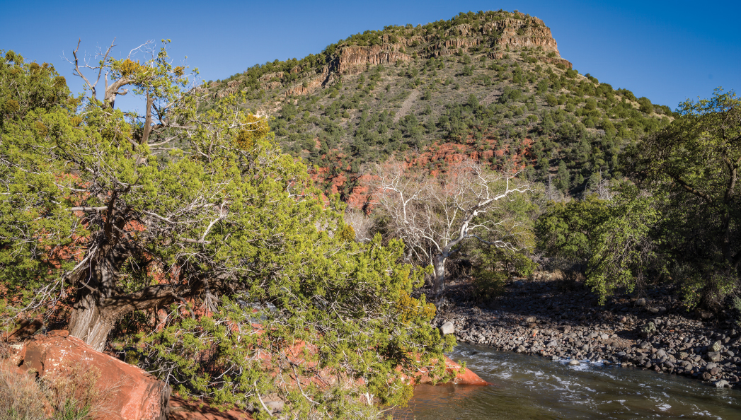 Woods Canyon Trail