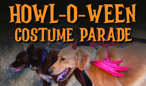Howl-O-Ween Costume Parade at Tlaquepaque